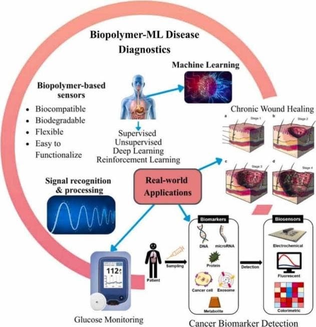 Machine learning approaches for real-time disease diagnostics using biopolymer-based sensors: A comprehensive review